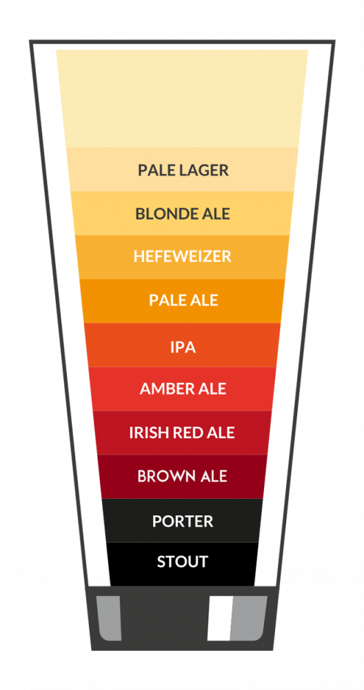 Beer-infographic